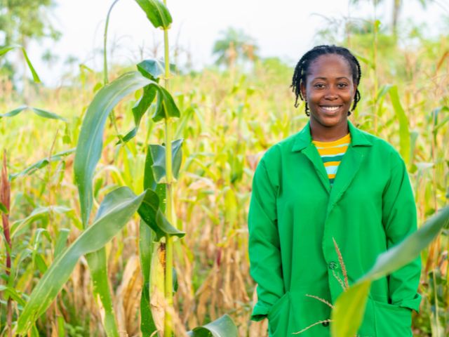 agricultura em angola