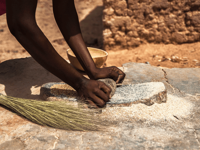 produção-de-cereais-em-angola-alca-foods